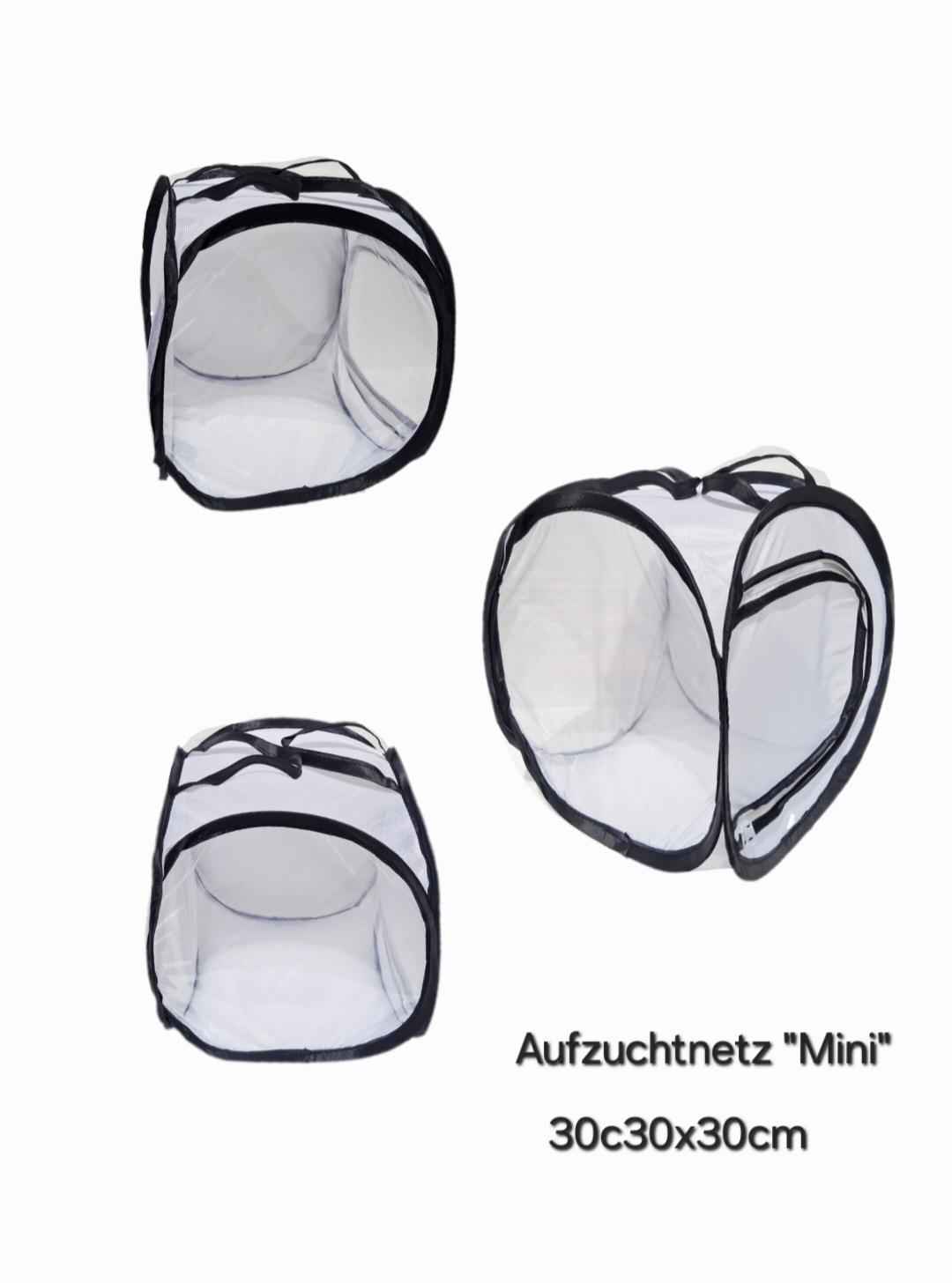 Aerarium kaufen – Das Aufzuchtnetz für Schmetterlinge – Bild 2